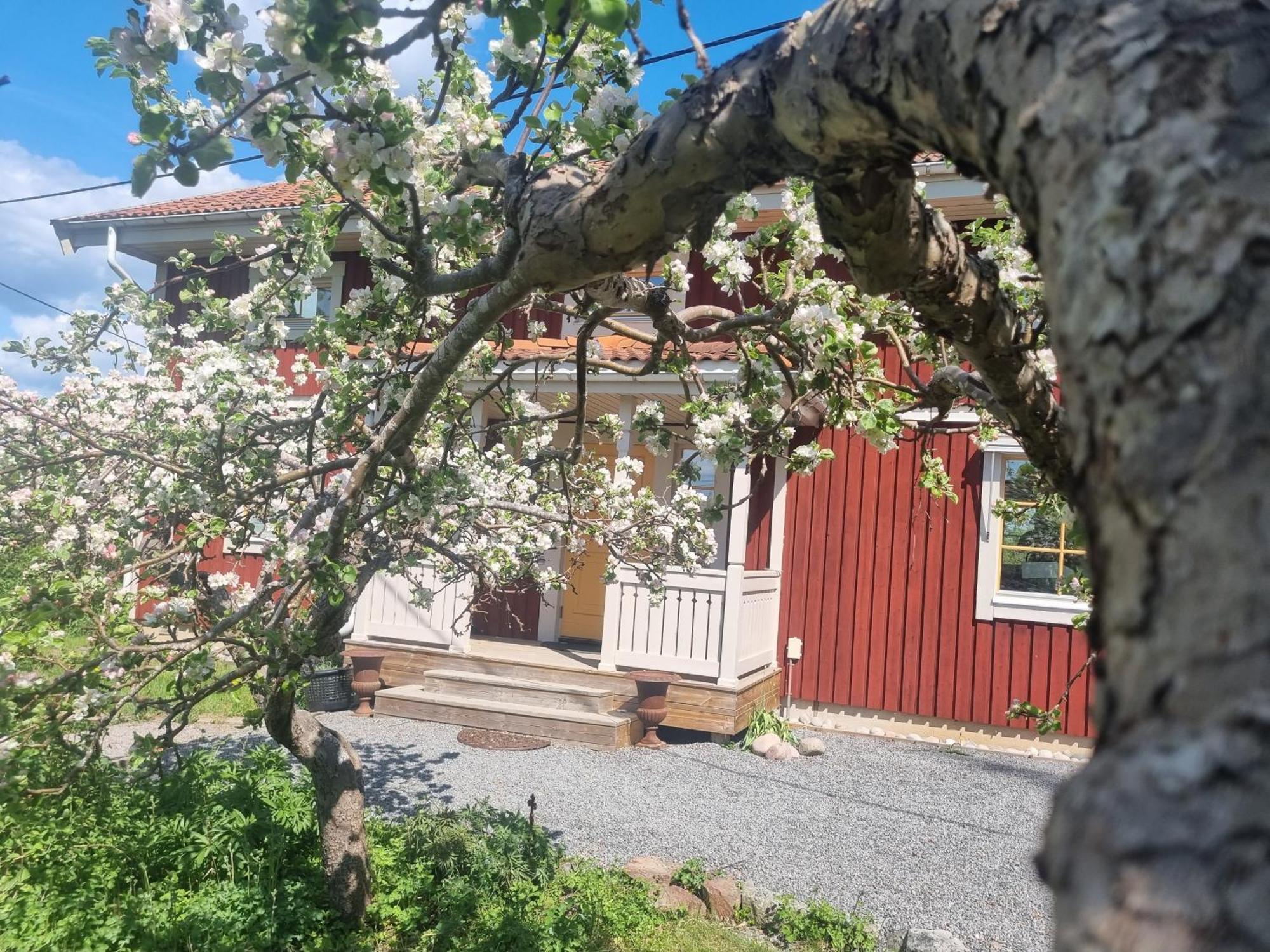 Saellinge House - Cozy Villa With Fireplace And Garden Close To ウプサラ エクステリア 写真